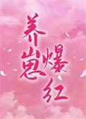 穿书对照组推荐