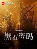黑石密码 电视剧