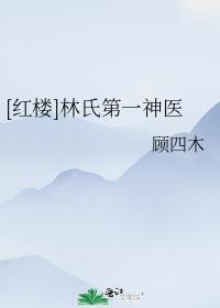 红楼之林氏长兄