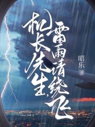 雷雨请绕飞txt