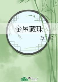 金屋藏珠txt笔趣阁