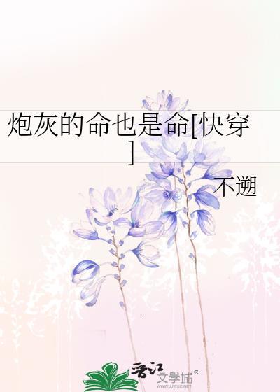 炮灰命是什么意思