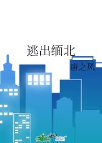 逃出缅北电影完整版