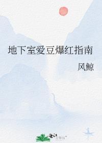 爱豆地下恋