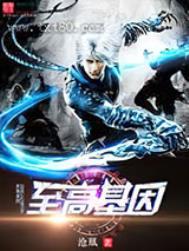 至尊基因系统