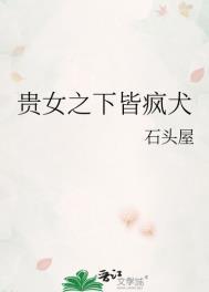 贵女之下皆疯犬书评