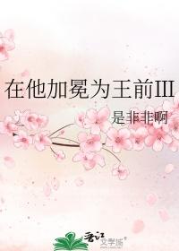 在他加冕为王前ⅱtxt