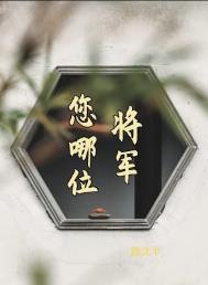 张将军是哪位神