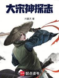大宋神探志展昭传奇笔趣阁