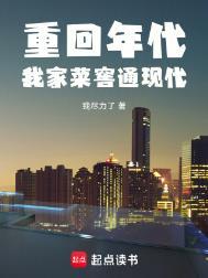 重回年代我家菜窖通现代TXT百度