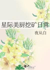 星际美厨挖矿日常宝书网