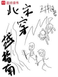 北宋穿越指南完整版免费