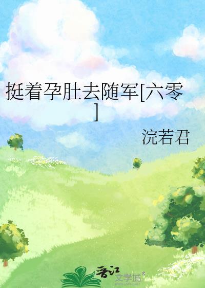 挺着孕肚去随军六零作者浣若君