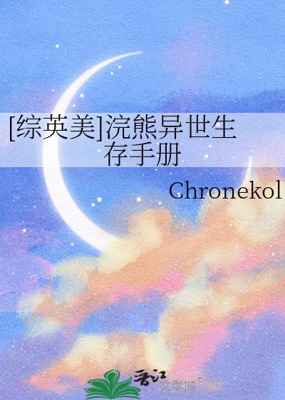 穿越浣熊市的