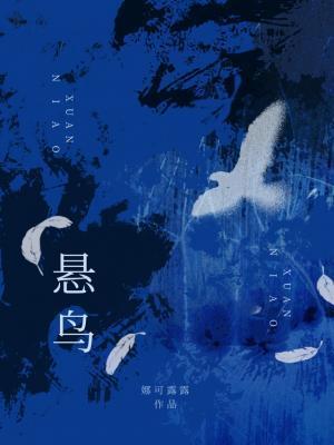 悬鸟by娜可露露全文免费阅读