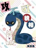 攻不可貌相讲的什么