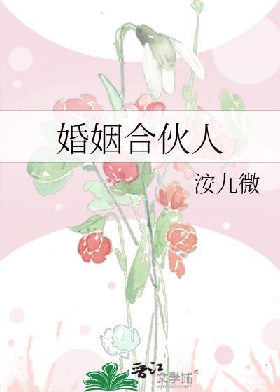 婚姻合伙人(洝九微)