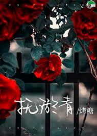抚淤青txt
