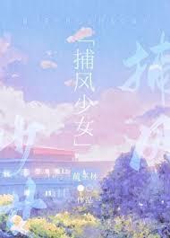 捕风by尼罗txt
