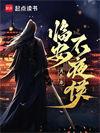 临安全文免费阅读