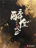 醉金盏岑氏结局