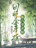 金手指回六零黑木酱