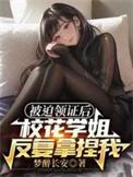 我被迫和校花学姐领证