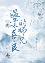 我那温柔善良的师兄结局