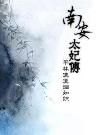 南安太妃传TXT