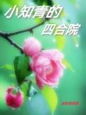 知青小镇图片