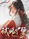 试婚丫鬟2026电视剧在线观看全集
