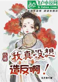 红楼我真不是汉贼