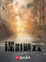 电视剧谍影迷踪剧情介绍