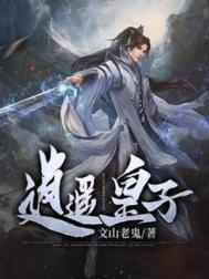 逍遥皇子盗版