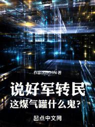 说好军转民这煤气罐什么鬼TXT精校