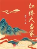 红楼大当家谭免费阅读全文