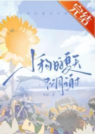 小狗过夏天