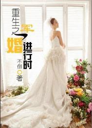 重生之军婚71章