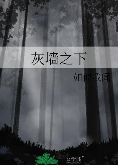 灰墙之下TXT