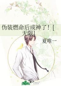 伪装燃命后成神了无限txt