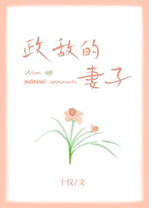 政敌的妻子十仪大结局是什么