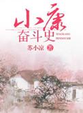 奋斗小康社会