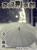 20部高分夜间刑侦剧