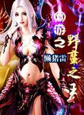 网游之野蛮与文明txt