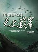 斗破苍穹之无上之境巅峰
