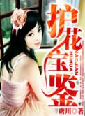 护花宝鉴停更原因