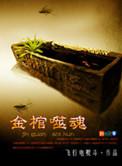 金棺噬魂在线阅读全文