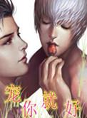 宠你就要宠上天无防盗