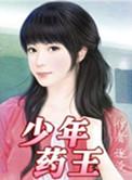 我想看少年药王