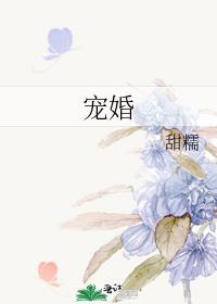 宠婚撩人免费全文阅读
